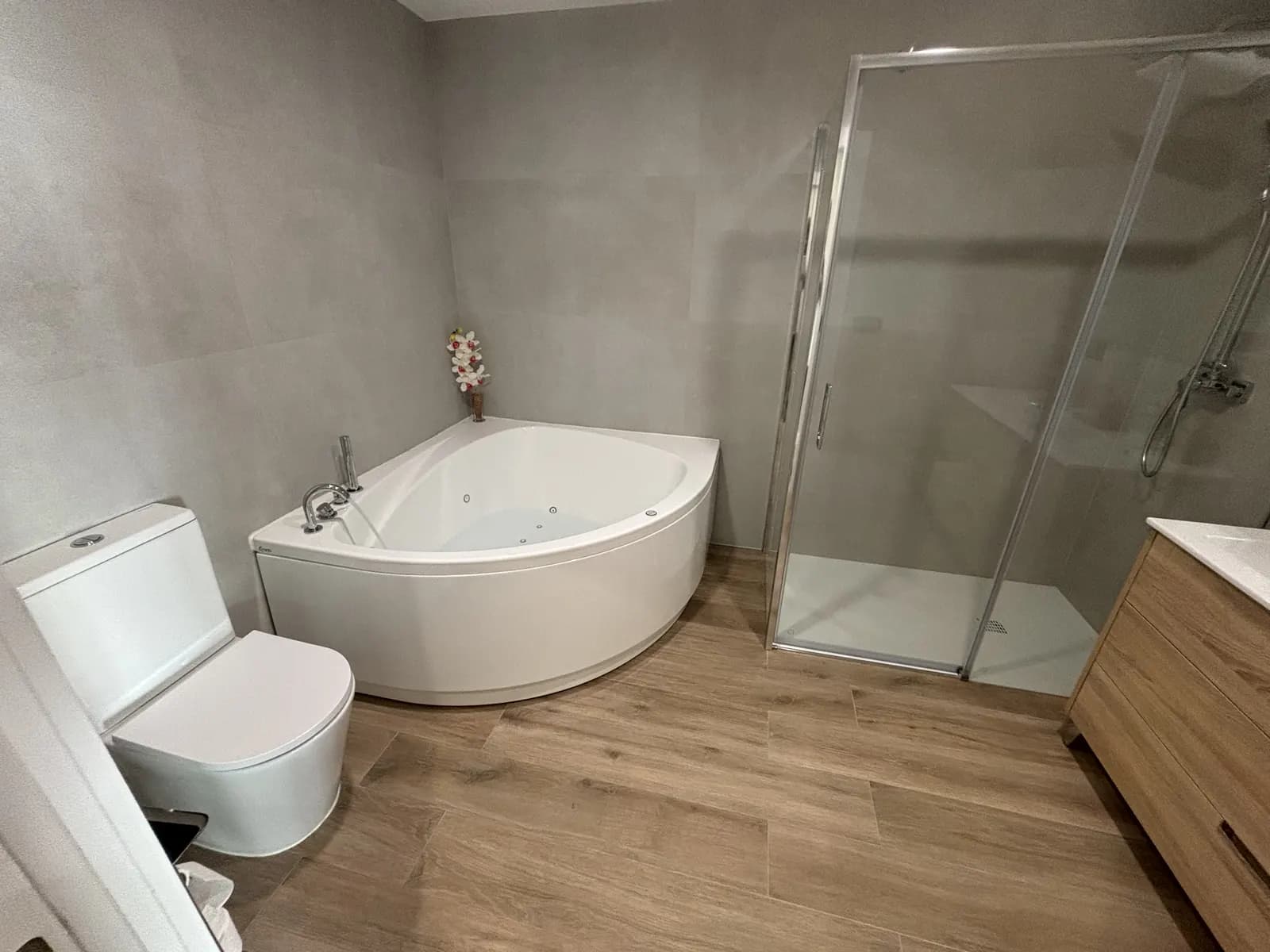 Vista de baño terminado con bañera, inodoro y zona de ducha